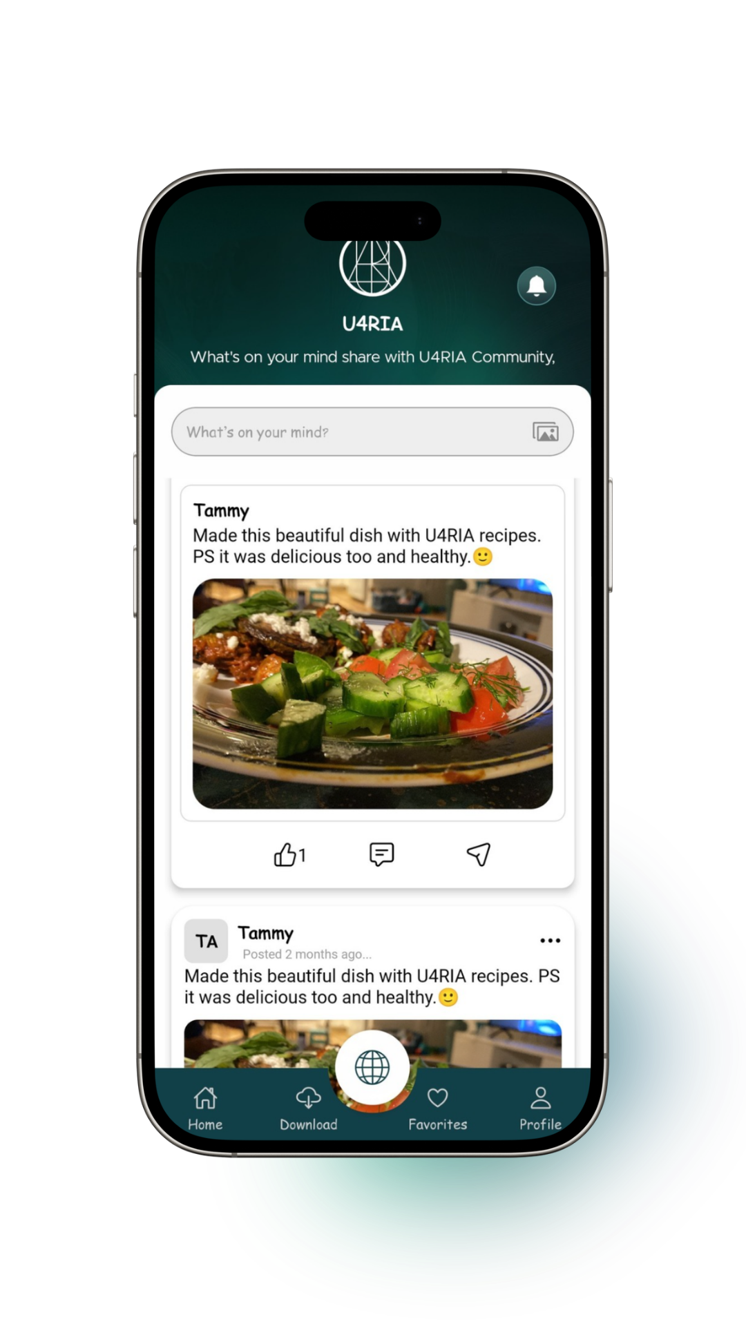 Community feature with supportive wellness network