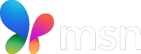 MSN Logo