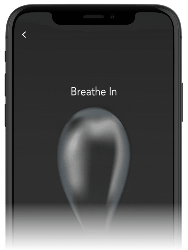BREATH SYNC